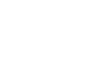 Partnerlogo Schiedel Kaminsanierung