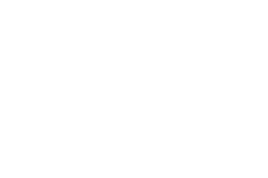 Partnerlogo Pertinger