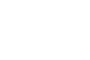 Partnerlogo RaabGruppe