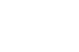 Partnerlogo BigGreenEgg