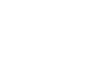 Partnerlogo Attika