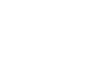 Partnerlogo Nordpeis