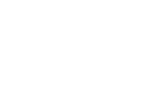 Partnerlogo Wodtke