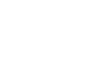 Partnerlogo Austroflamm